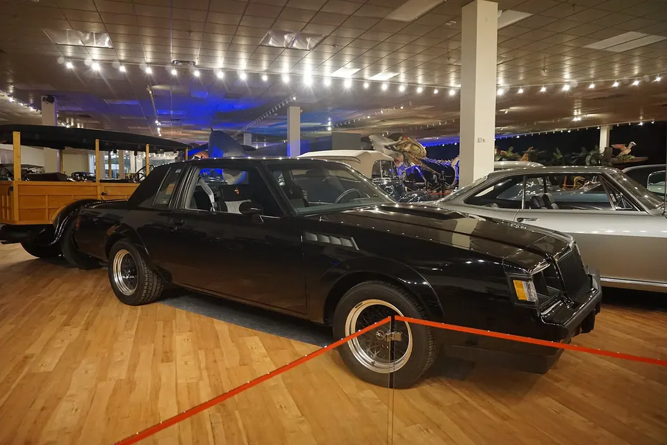 1987 Buick Regal GNX profile photo